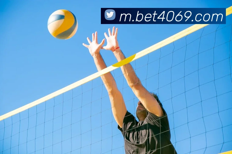 bet365comAPP 封面图